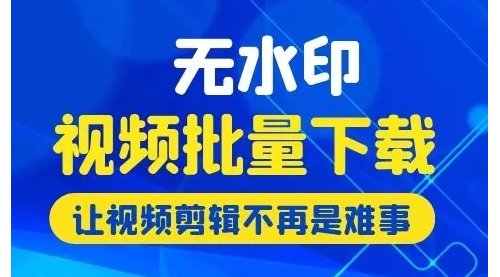電腦上下載無水印視頻